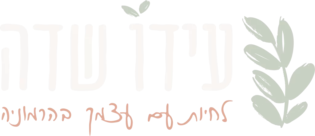 בית המלאכה לשינה - עידו שדה